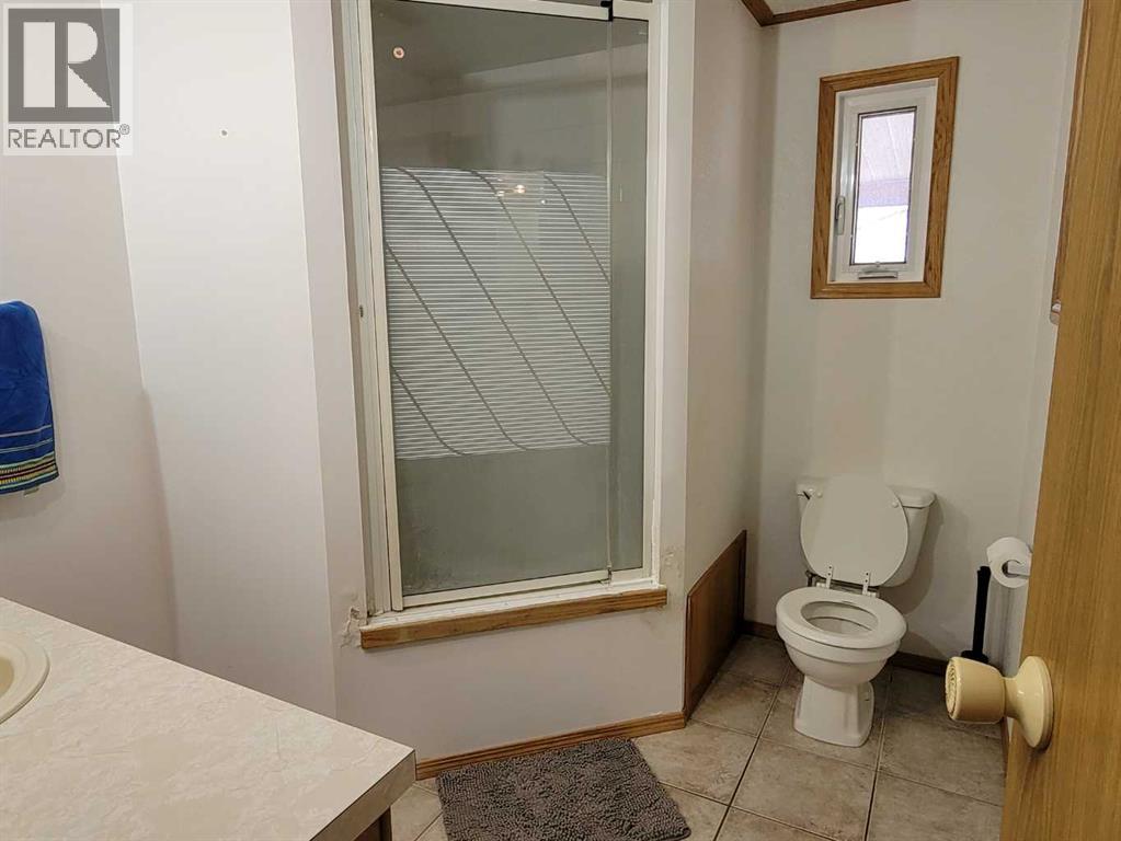 112 3 Avenue E, Alliance, Alberta  T0B 0A0 - Photo 19 - A2310101