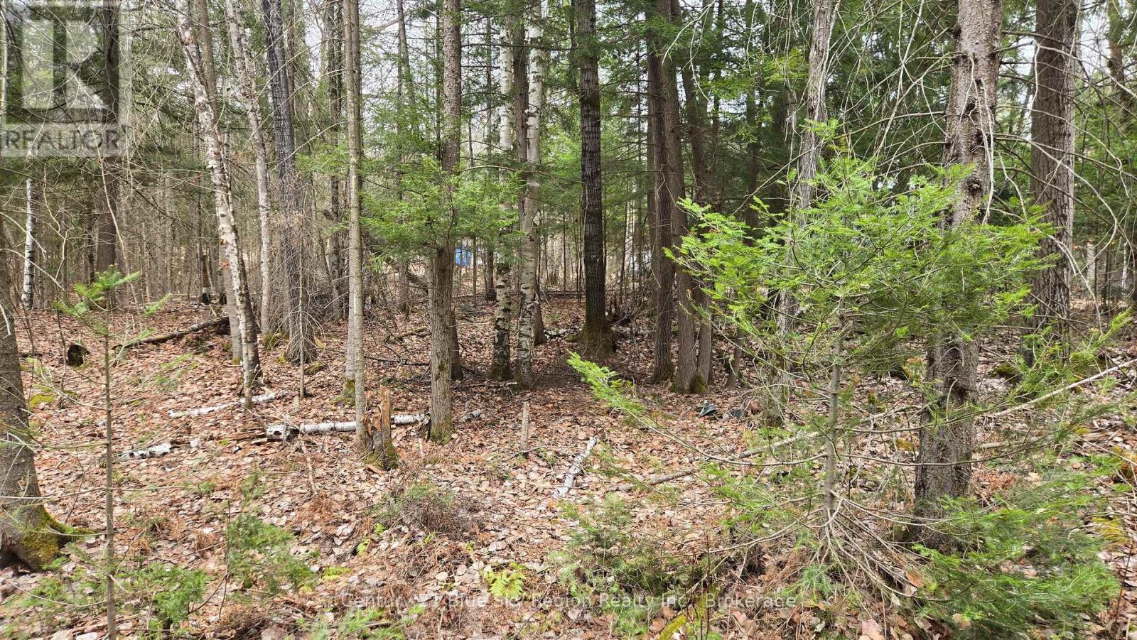 149 Pine Lake Road, Bonfield, Ontario  P0H 2E0 - Photo 15 - X13113006