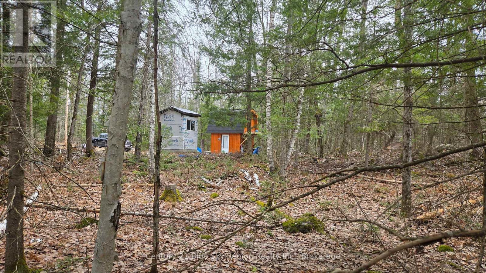 149 Pine Lake Road, Bonfield, Ontario  P0H 2E0 - Photo 8 - X13113006