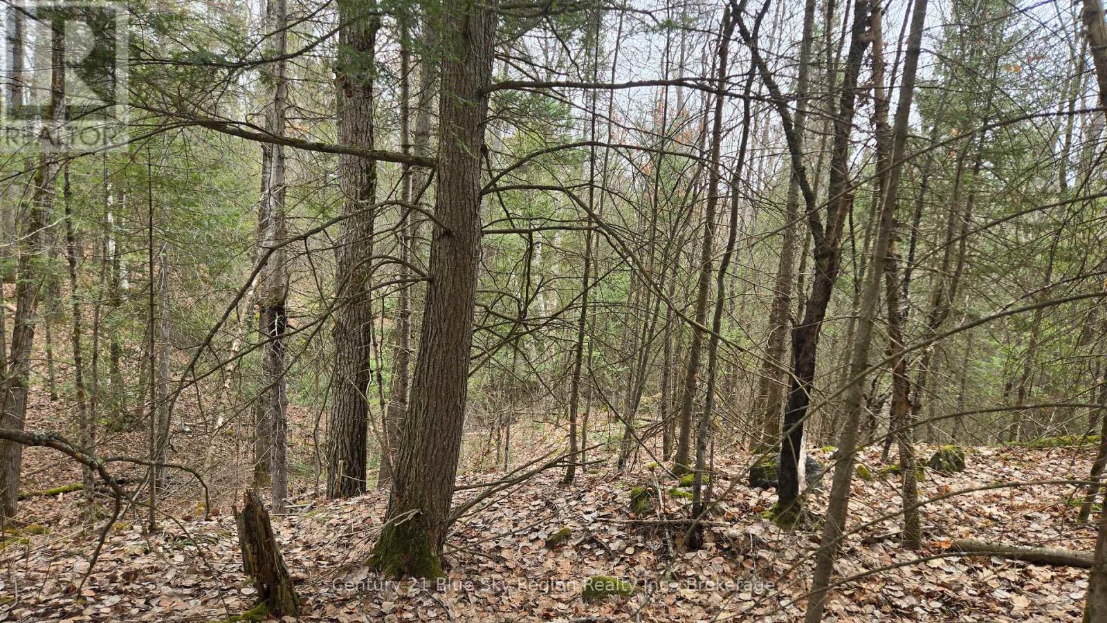 149 Pine Lake Road, Bonfield, Ontario  P0H 2E0 - Photo 12 - X13113006