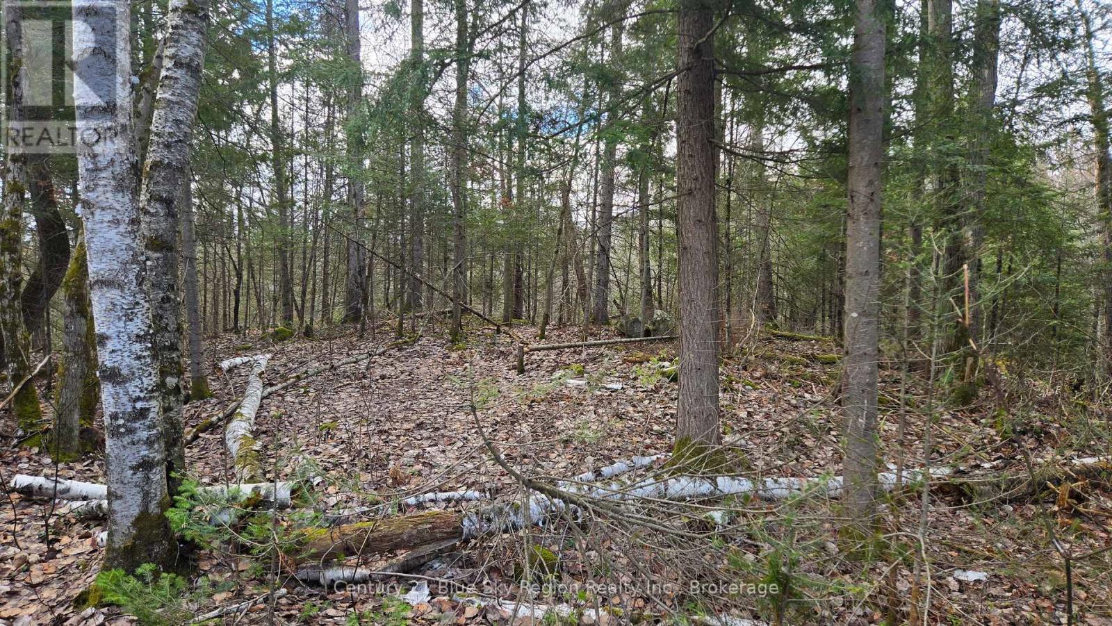 149 Pine Lake Road, Bonfield, Ontario  P0H 2E0 - Photo 13 - X13113006