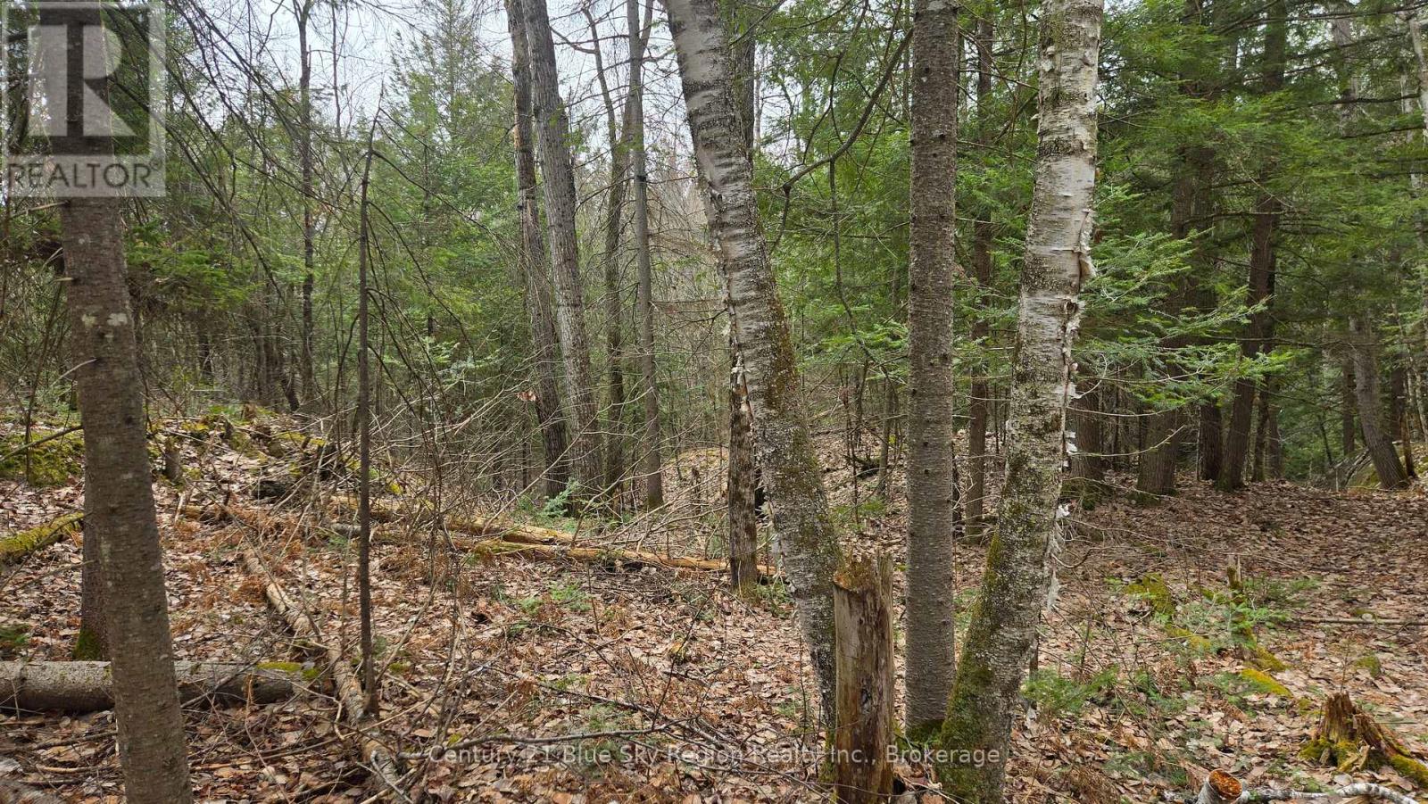 149 Pine Lake Road, Bonfield, Ontario  P0H 2E0 - Photo 14 - X13113006