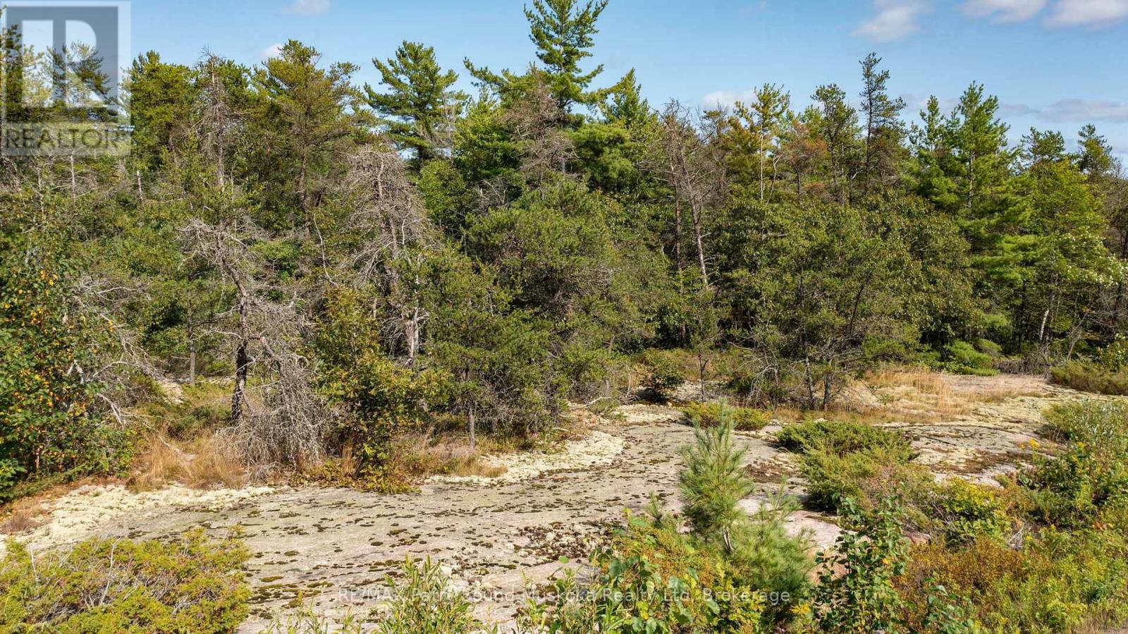 3 Corduroy Bay Road, Carling, Ontario  P0G 1G0 - Photo 20 - X12678414