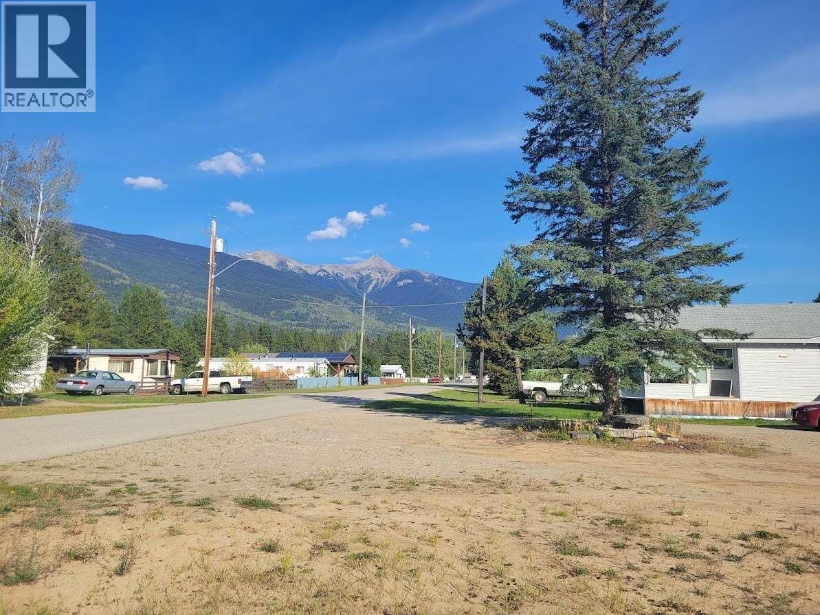 1123 14th Avenue, Valemount, British Columbia  V0E 2Z0 - Photo 1 - R3122964
