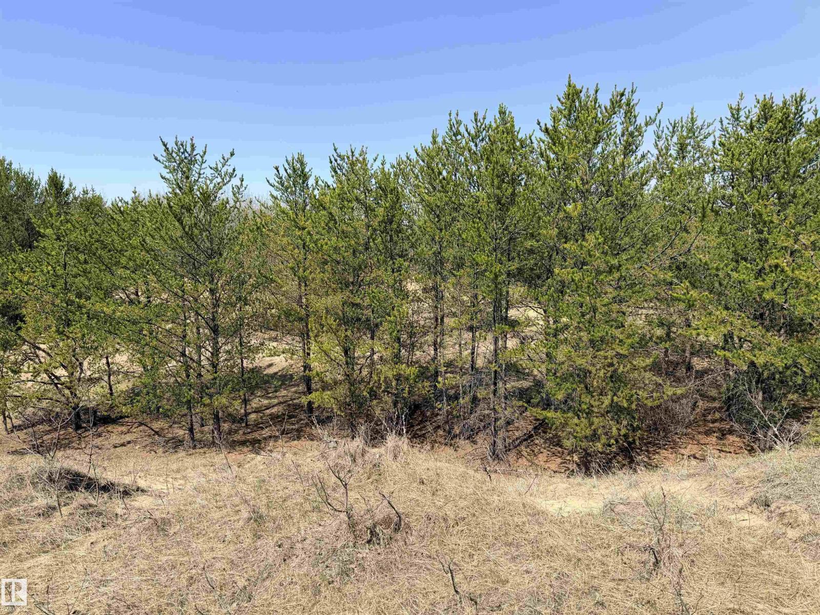 60524 Rge Rd 250, Rural Westlock County, Alberta  T7P 2N9 - Photo 6 - E4470678