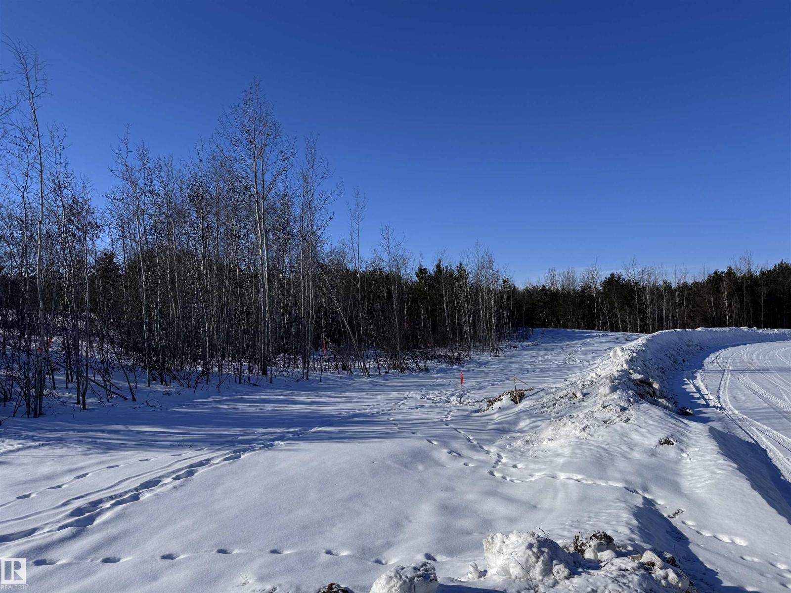 60524 Rge Rd 250, Rural Westlock County, Alberta  T7P 2N9 - Photo 11 - E4470678