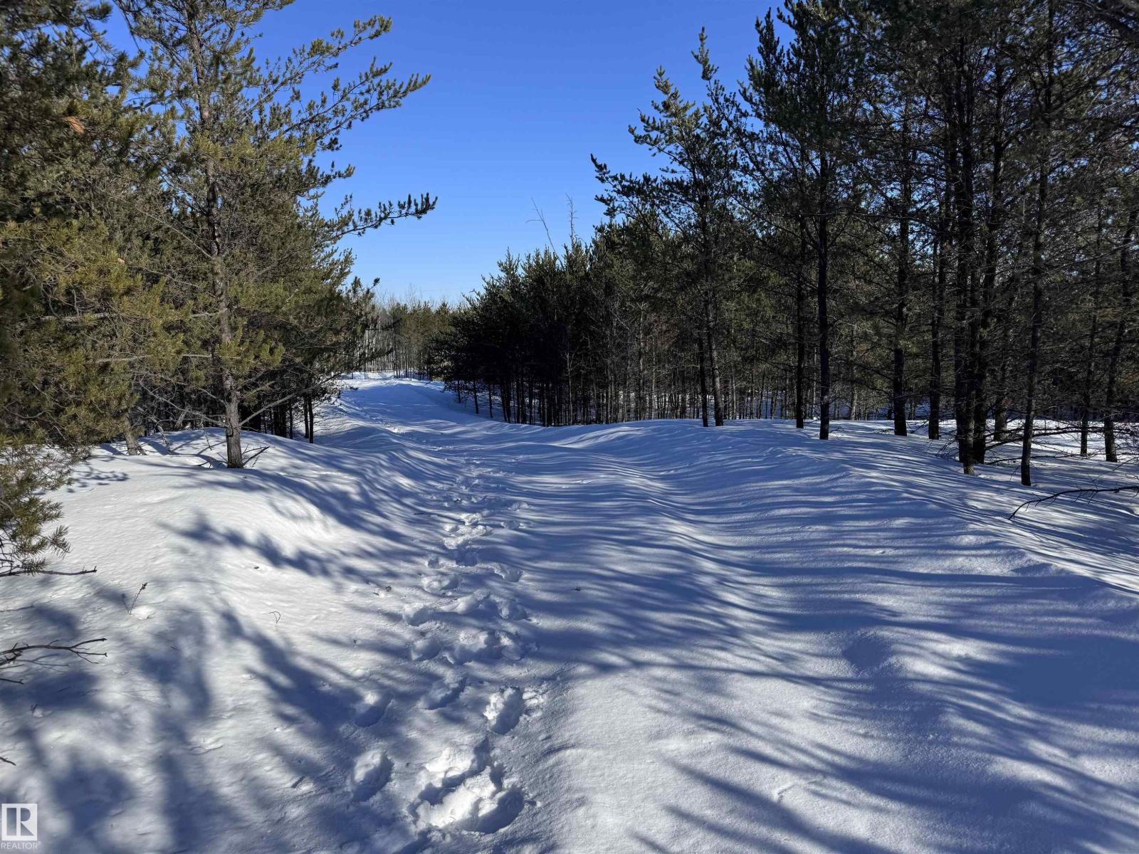 60524 Rge Rd 250, Rural Westlock County, Alberta  T7P 2N9 - Photo 28 - E4470678
