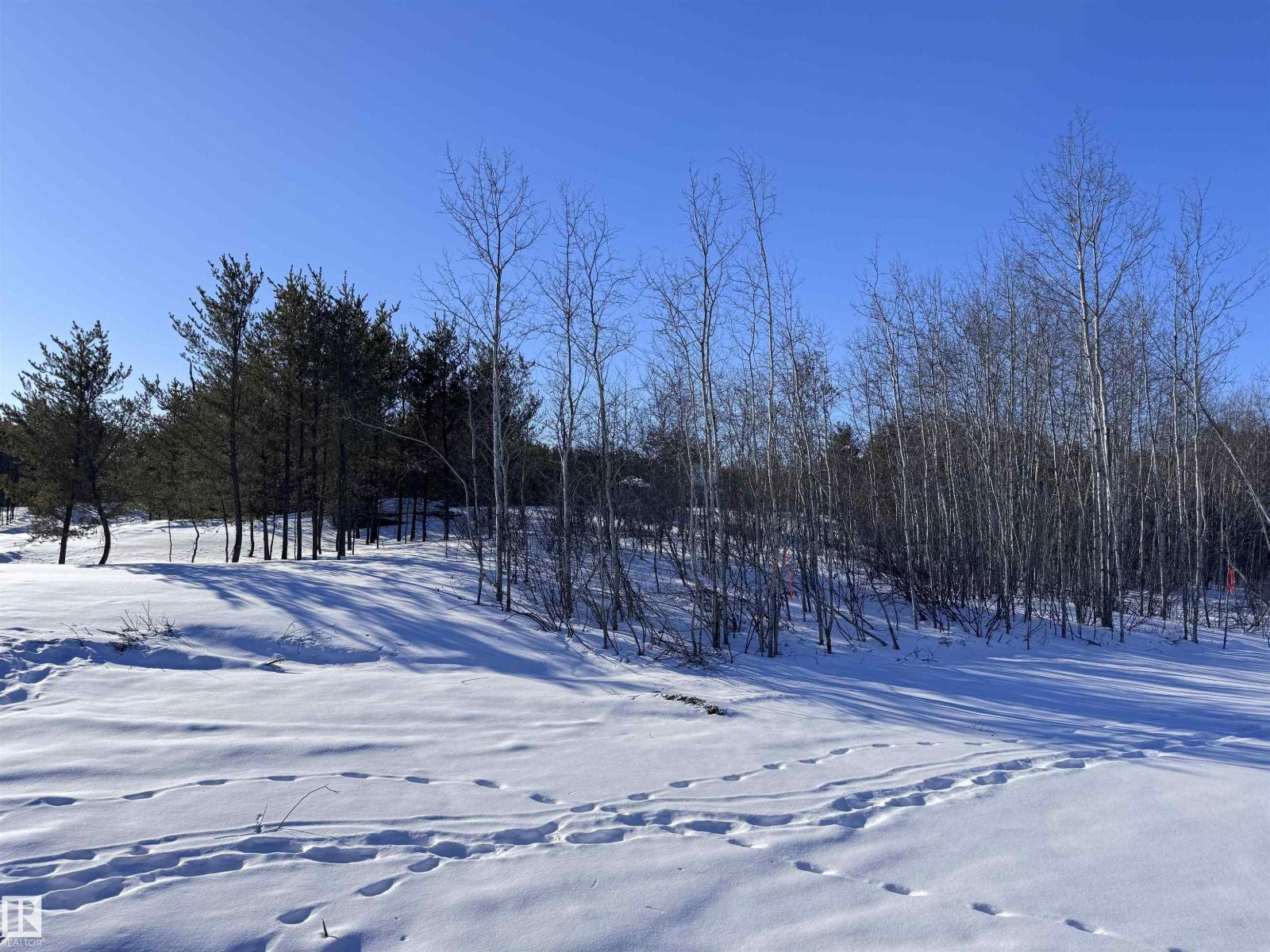 60524 Rge Rd 250, Rural Westlock County, Alberta  T7P 2N9 - Photo 12 - E4470678