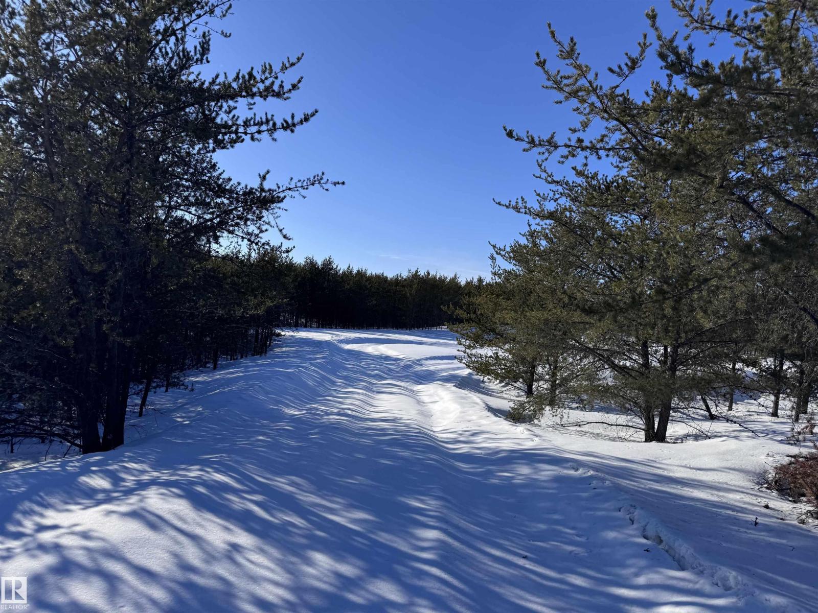 60524 Rge Rd 250, Rural Westlock County, Alberta  T7P 2N9 - Photo 24 - E4470678