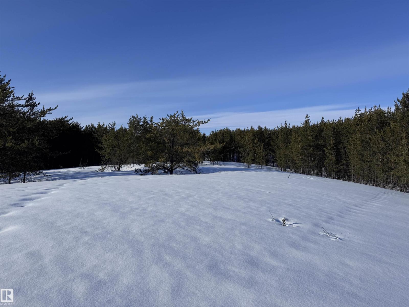 60524 Rge Rd 250, Rural Westlock County, Alberta  T7P 2N9 - Photo 36 - E4470678