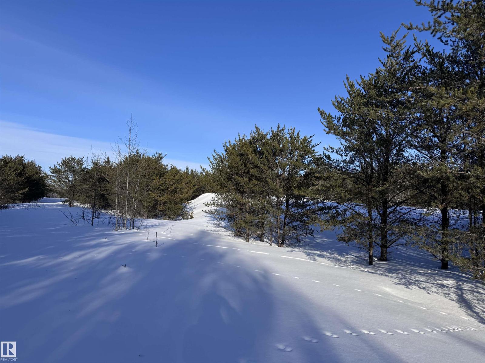 60524 Rge Rd 250, Rural Westlock County, Alberta  T7P 2N9 - Photo 40 - E4470678