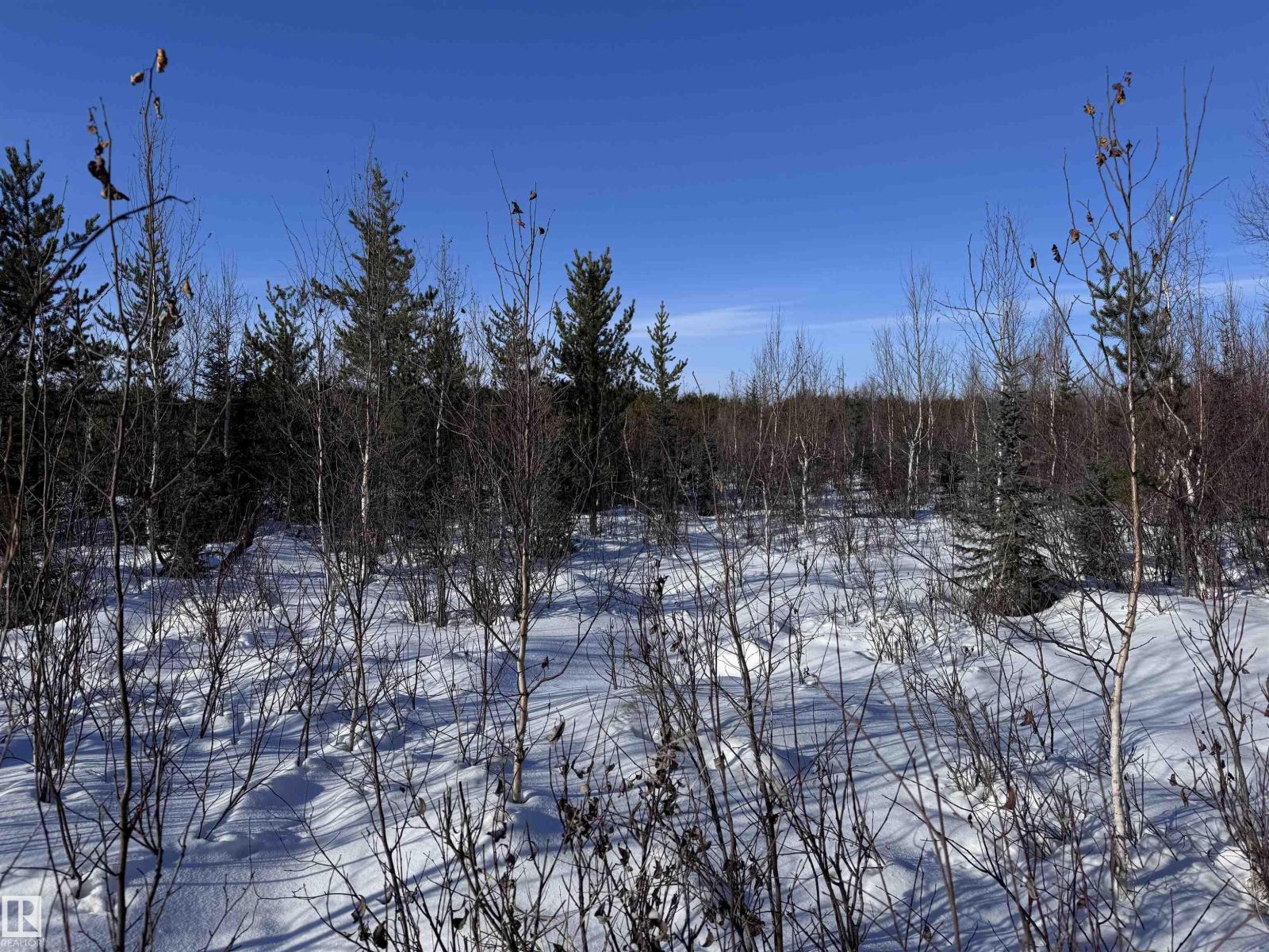 60524 Rge Rd 250, Rural Westlock County, Alberta  T7P 2N9 - Photo 31 - E4470678
