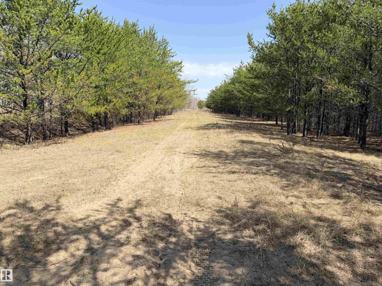60524 Rge Rd 250, Rural Westlock County, Alberta  T7P 2N9 - Photo 4 - E4470678