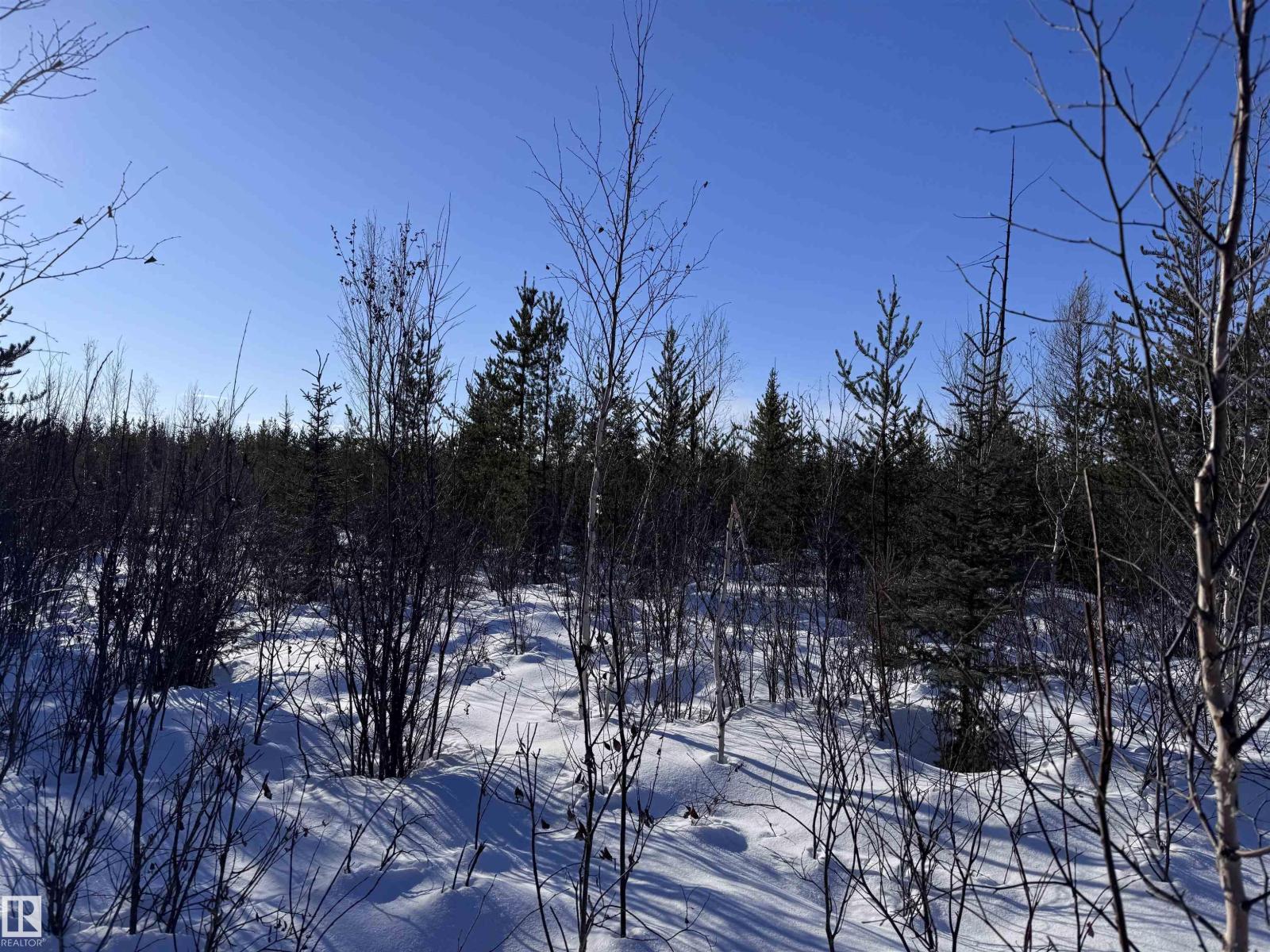 60524 Rge Rd 250, Rural Westlock County, Alberta  T7P 2N9 - Photo 32 - E4470678