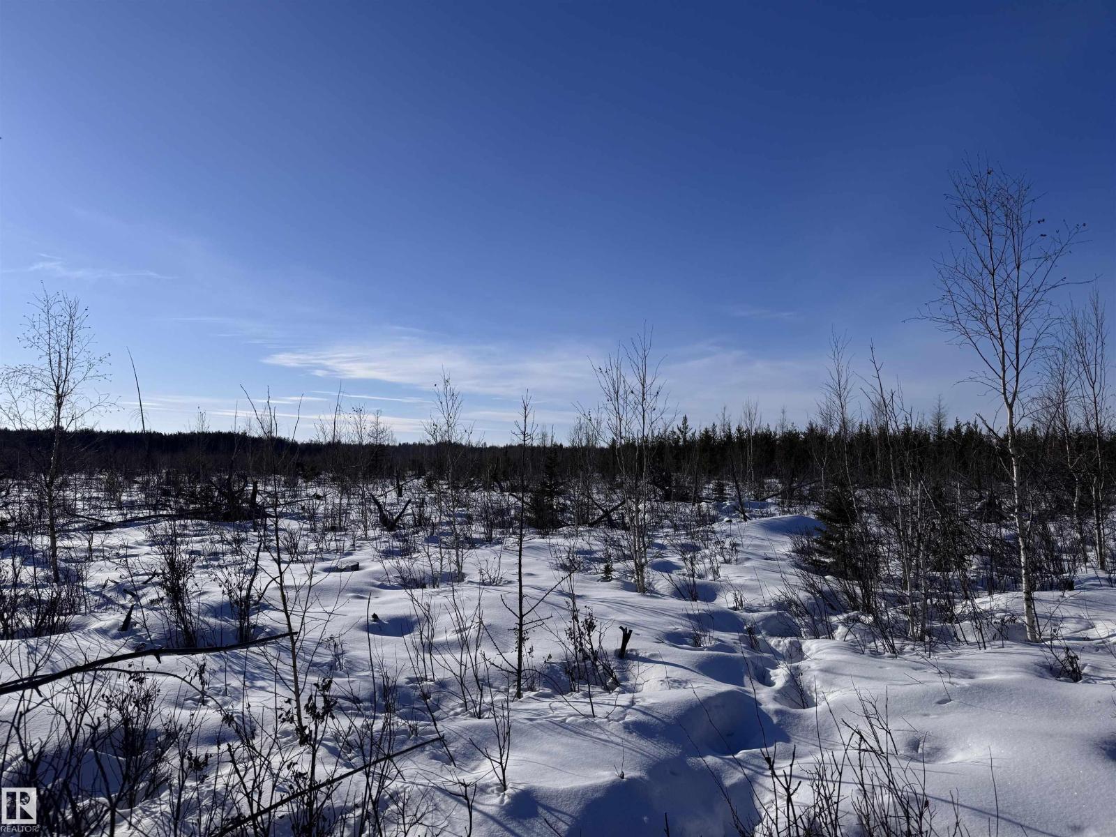 60524 Rge Rd 250, Rural Westlock County, Alberta  T7P 2N9 - Photo 33 - E4470678