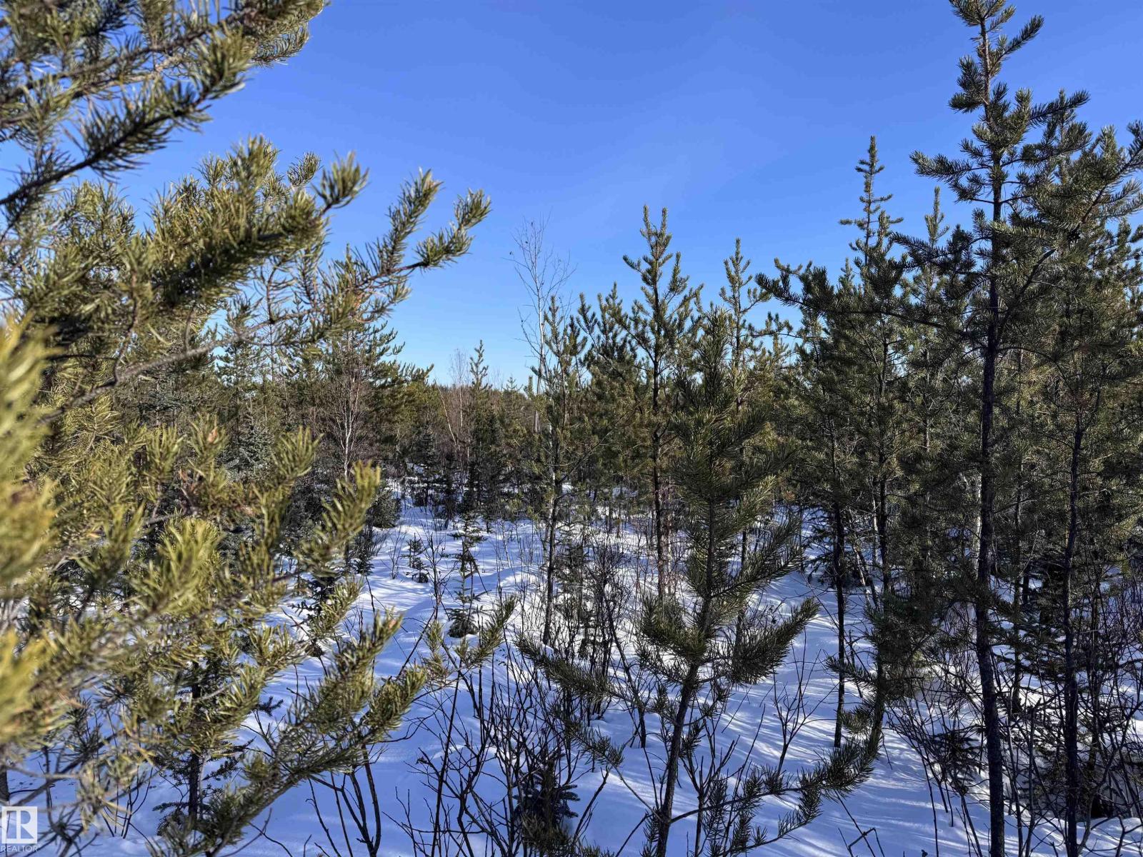 60524 Rge Rd 250, Rural Westlock County, Alberta  T7P 2N9 - Photo 34 - E4470678