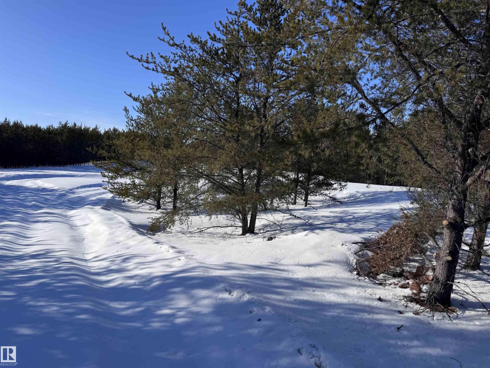 60524 Rge Rd 250, Rural Westlock County, Alberta  T7P 2N9 - Photo 25 - E4470678
