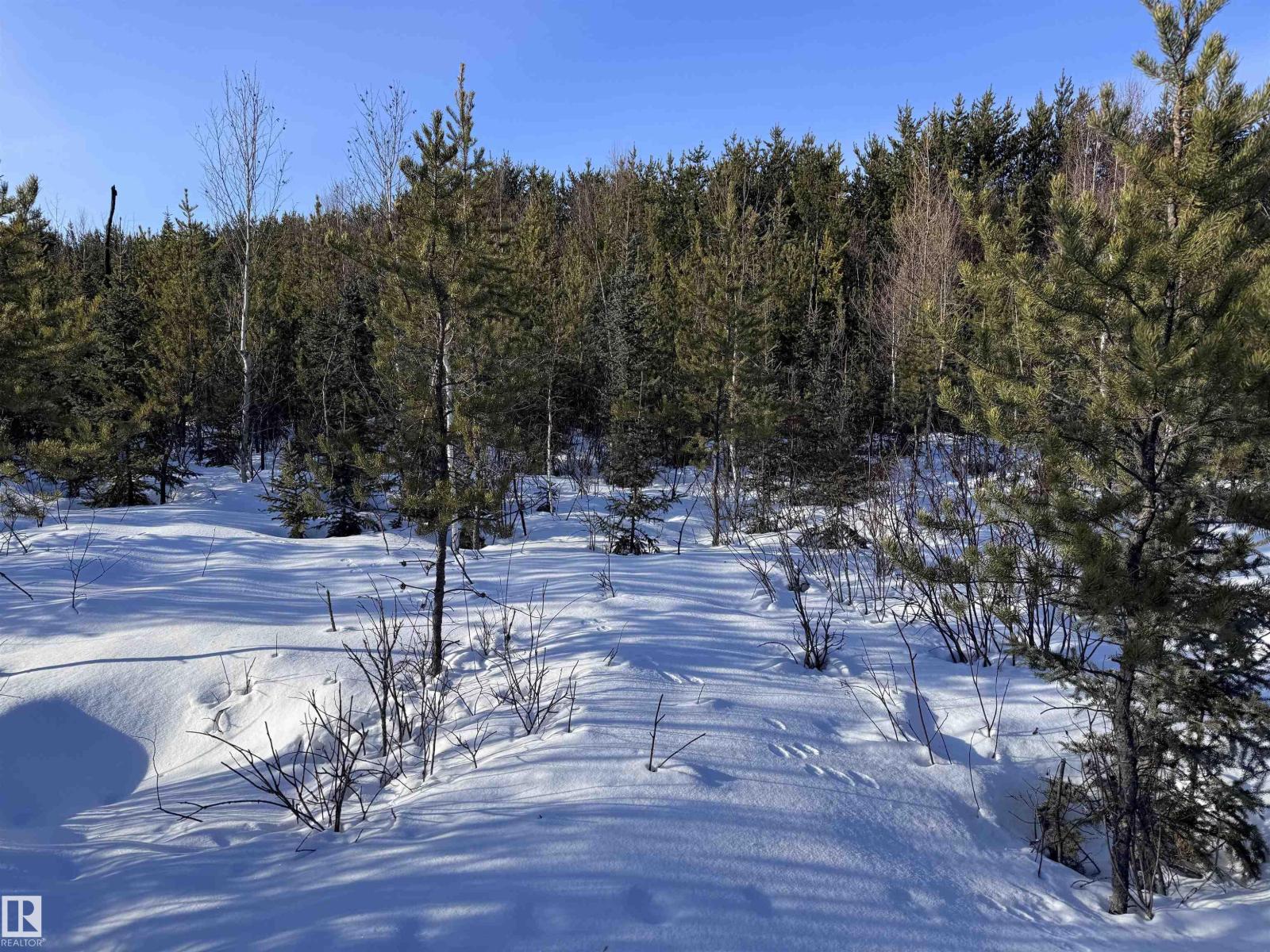 60524 Rge Rd 250, Rural Westlock County, Alberta  T7P 2N9 - Photo 35 - E4470678