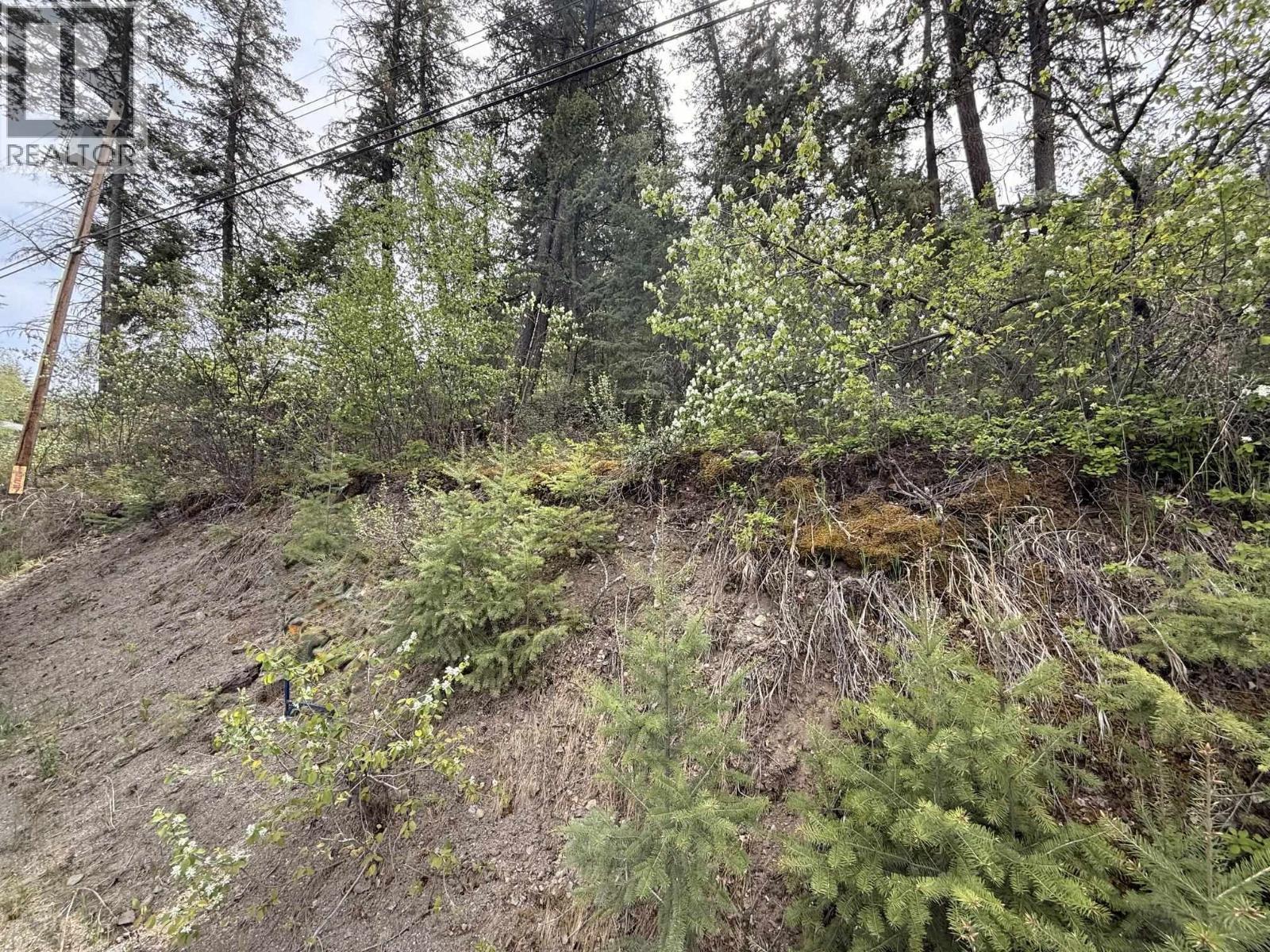 1955 S Lakeside Drive, Williams Lake, British Columbia  V2G 1J1 - Photo 3 - R3084937
