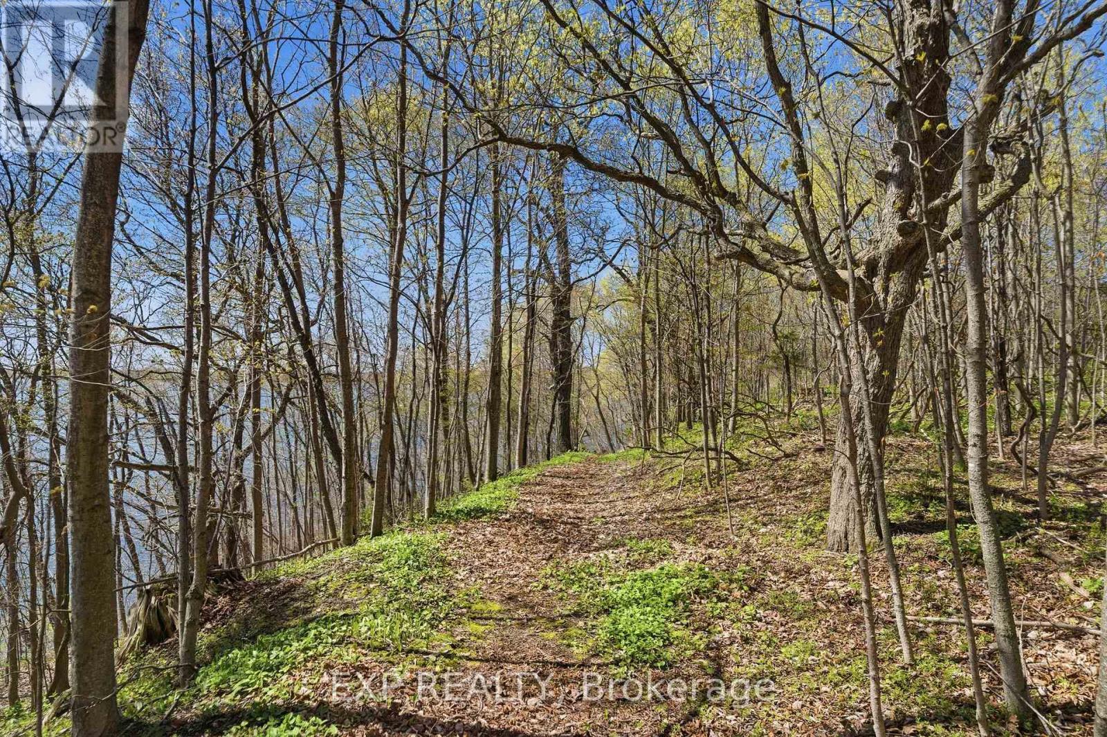 86 Colliers Road, Prince Edward County, Ontario  K0K 1P0 - Photo 38 - X13119592