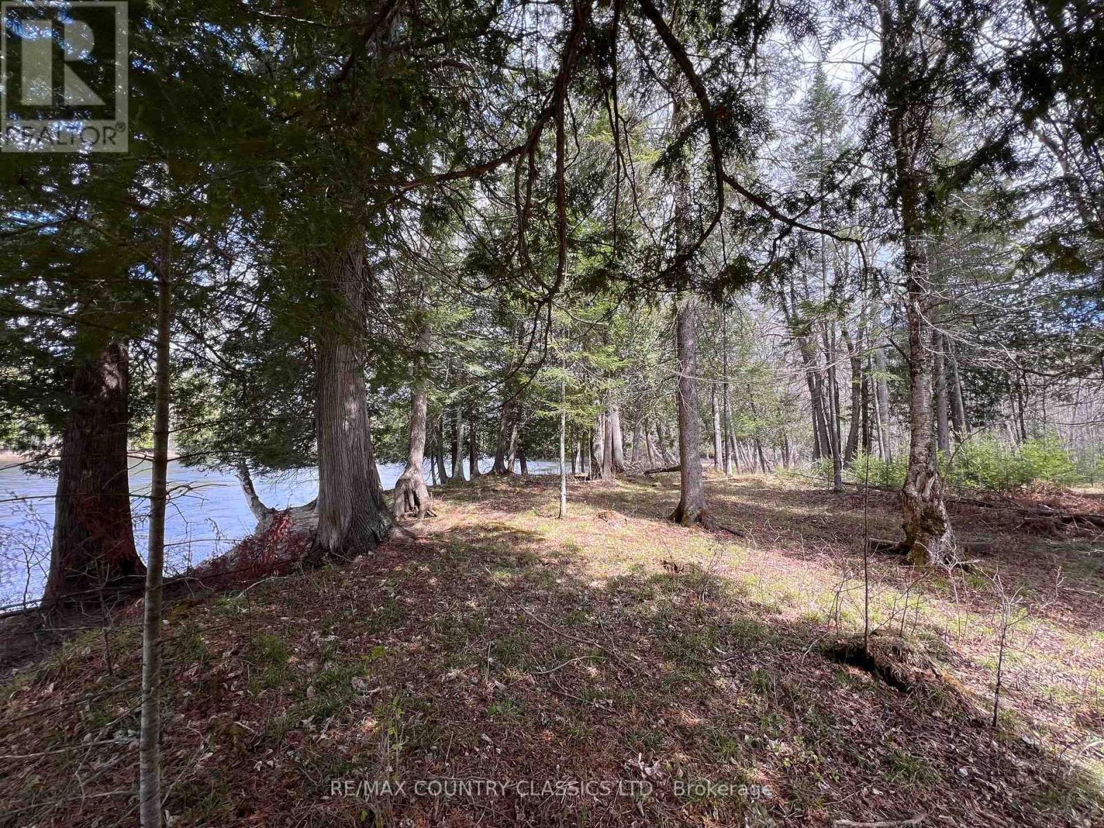 179 Lalonde Lane, Greater Madawaska, Ontario  K0J 2R0 - Photo 11 - X12561948