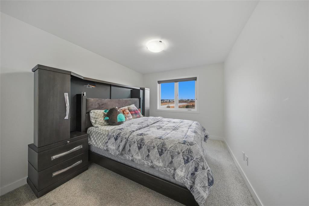 166 Romance Lane, Winnipeg, Manitoba  R2C 5S2 - Photo 20 - 202610131