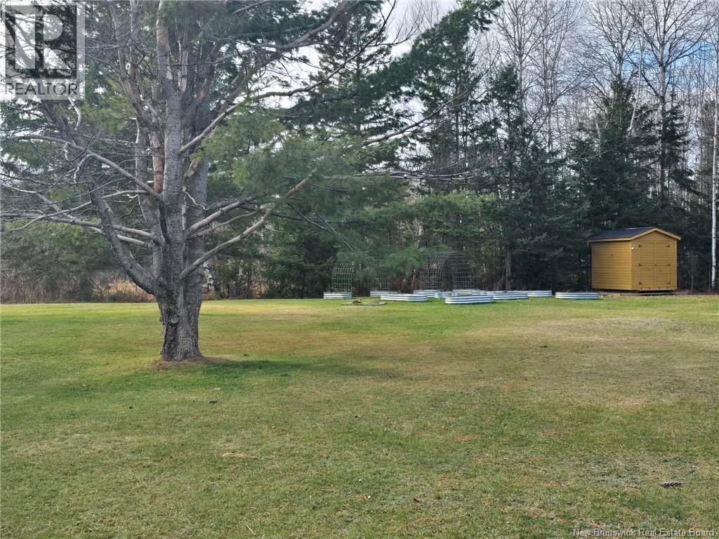 3808 Route 180, South Tetagouche, New Brunswick  E2A 7E1 - Photo 13 - NB135209