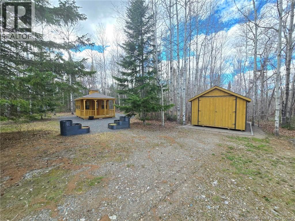 3808 Route 180, South Tetagouche, New Brunswick  E2A 7E1 - Photo 7 - NB135209