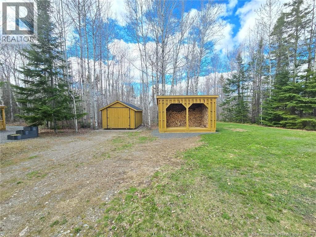 3808 Route 180, South Tetagouche, New Brunswick  E2A 7E1 - Photo 6 - NB135209