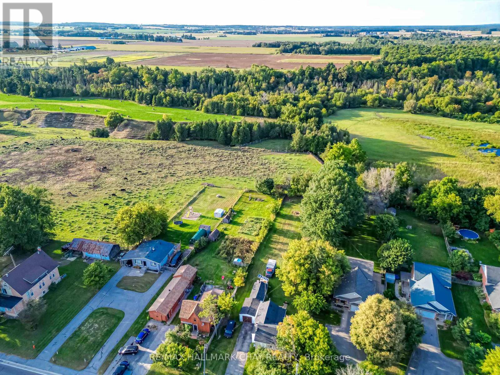 6278 Highway 89, New Tecumseth, Ontario  L9R 1V2 - Photo 35 - N12733250