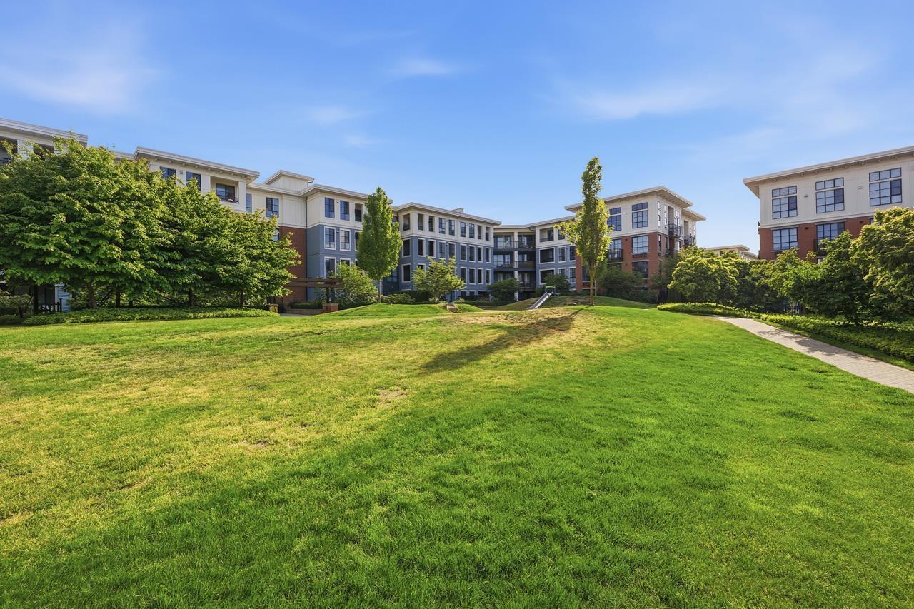 304 15137 33 Avenue, Surrey, British Columbia  V3Z 0Y1 - Photo 25 - R3122942