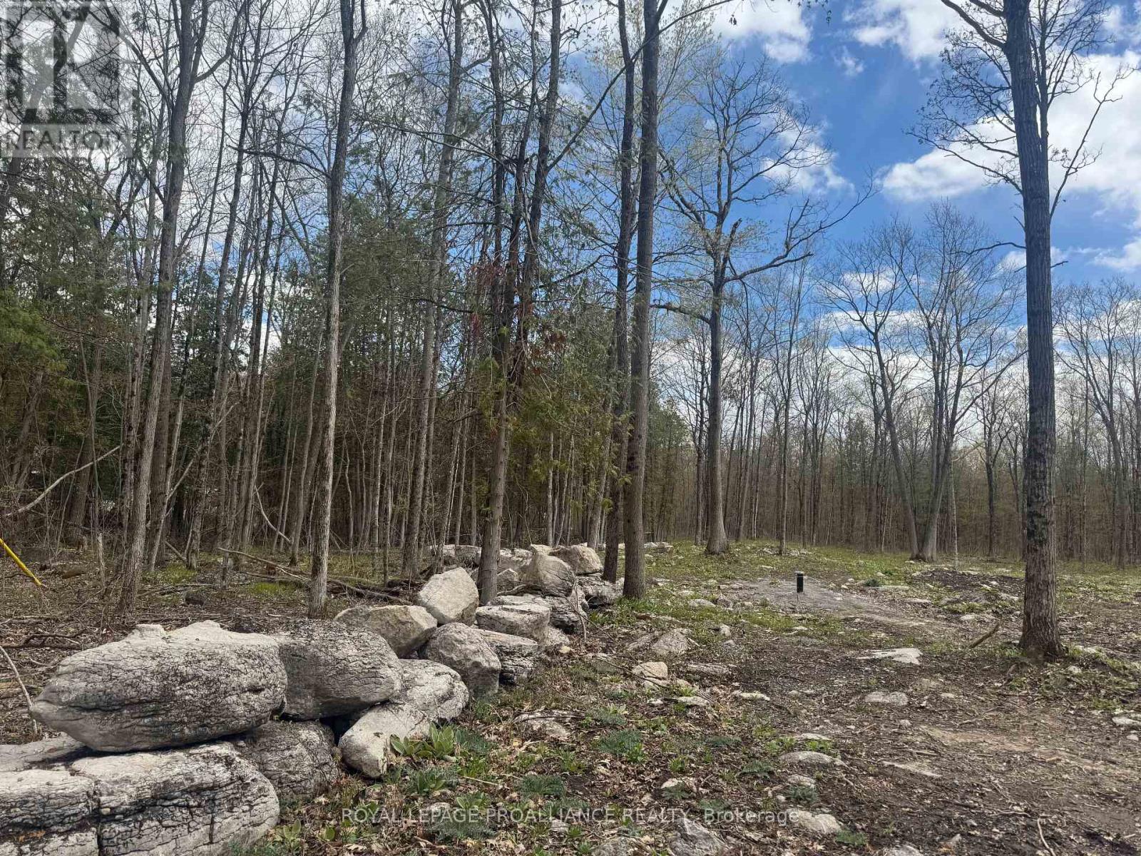 378 Station Road, Marmora And Lake, Ontario  K0K 2M0 - Photo 4 - X13119934