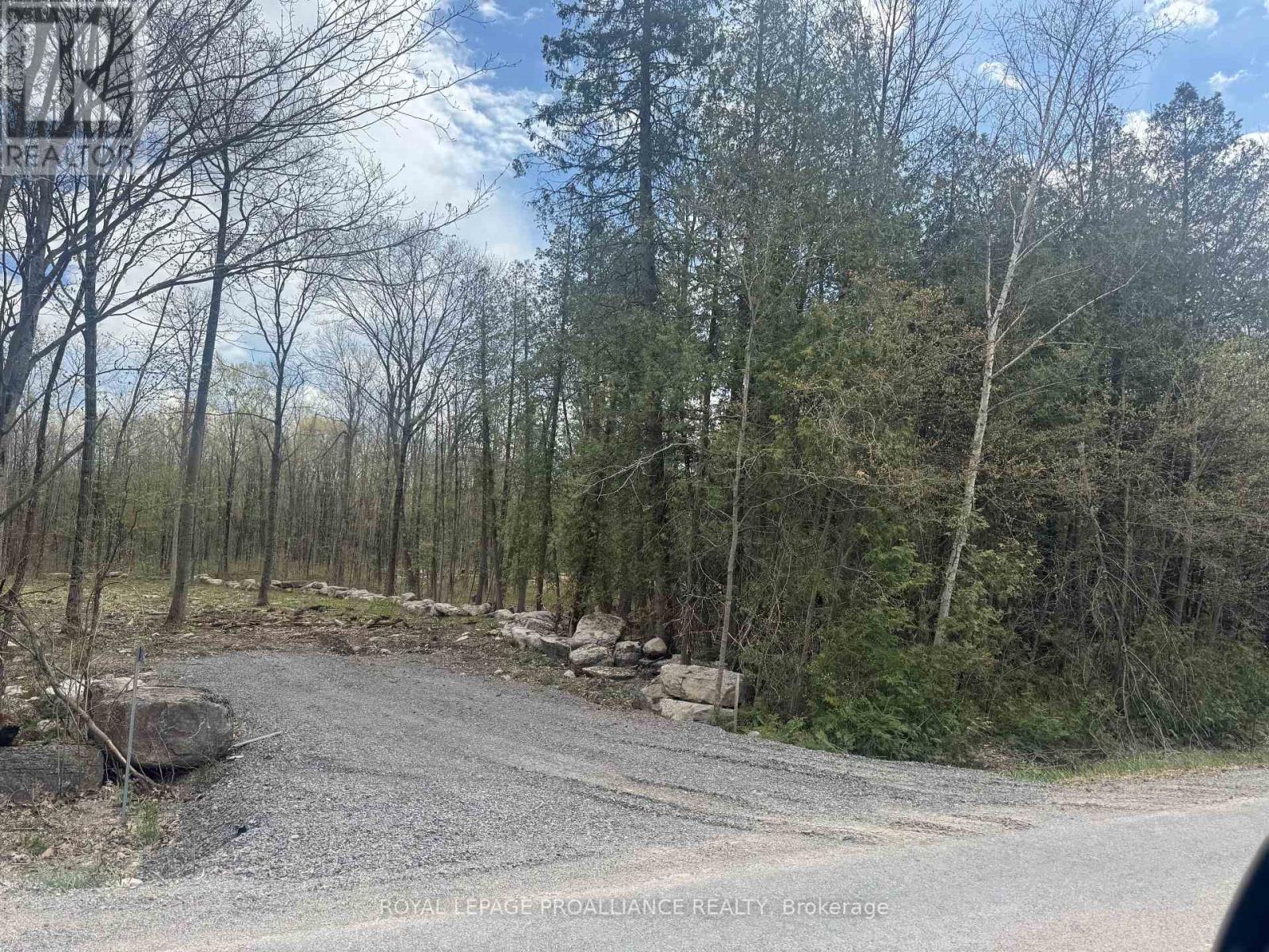 378 Station Road, Marmora And Lake, Ontario  K0K 2M0 - Photo 7 - X13119934
