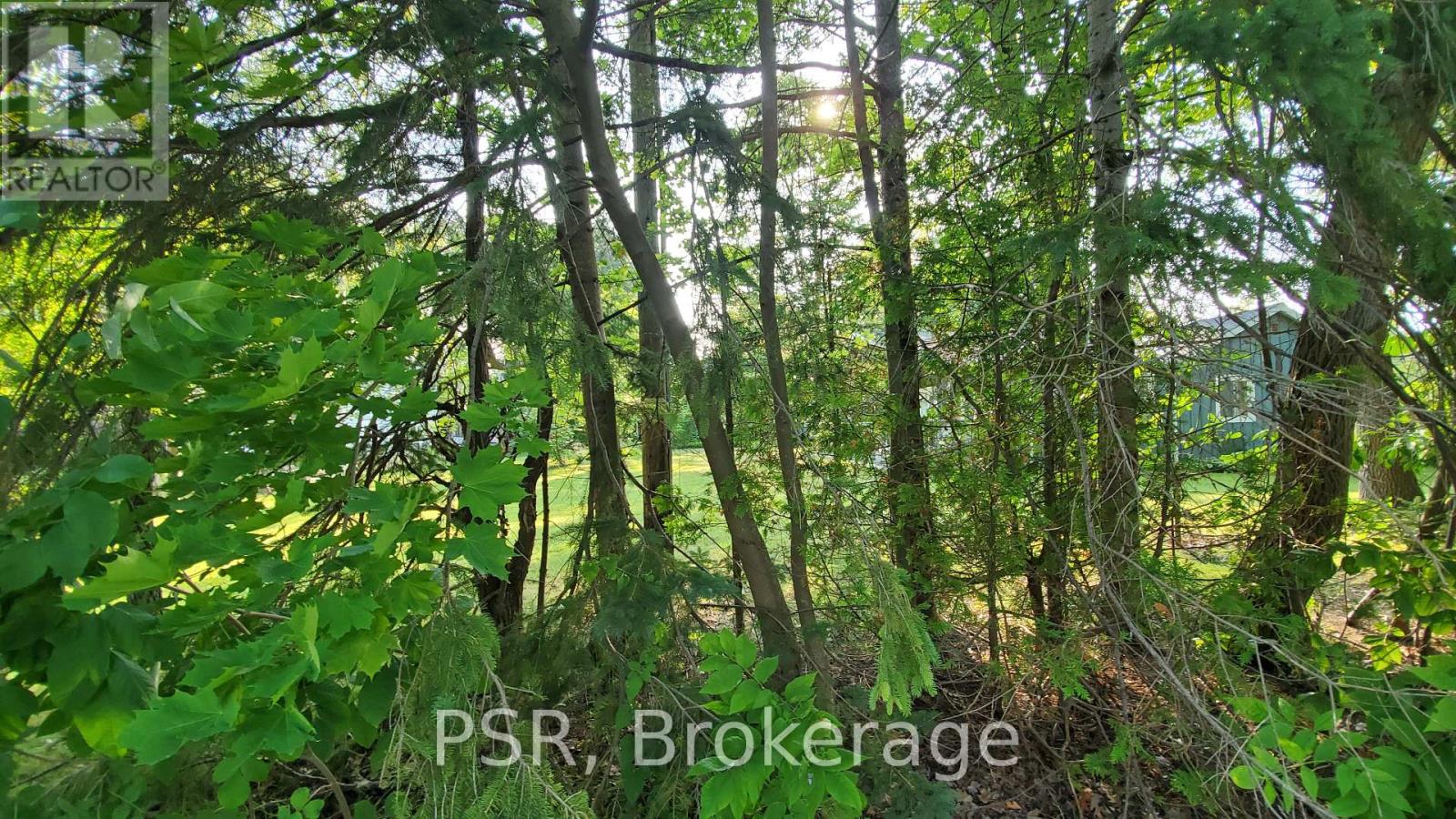 Lot 59 47th Street S, Wasaga Beach, Ontario  L9Z 1Y6 - Photo 7 - S13120004