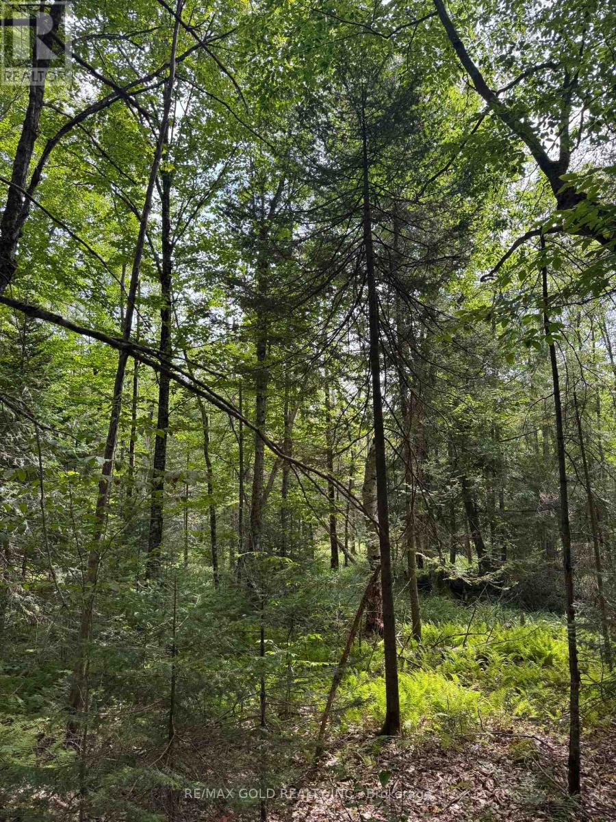 1791 Alsace Road, Nipissing, Ontario  P0H 1Z0 - Photo 10 - X13119988