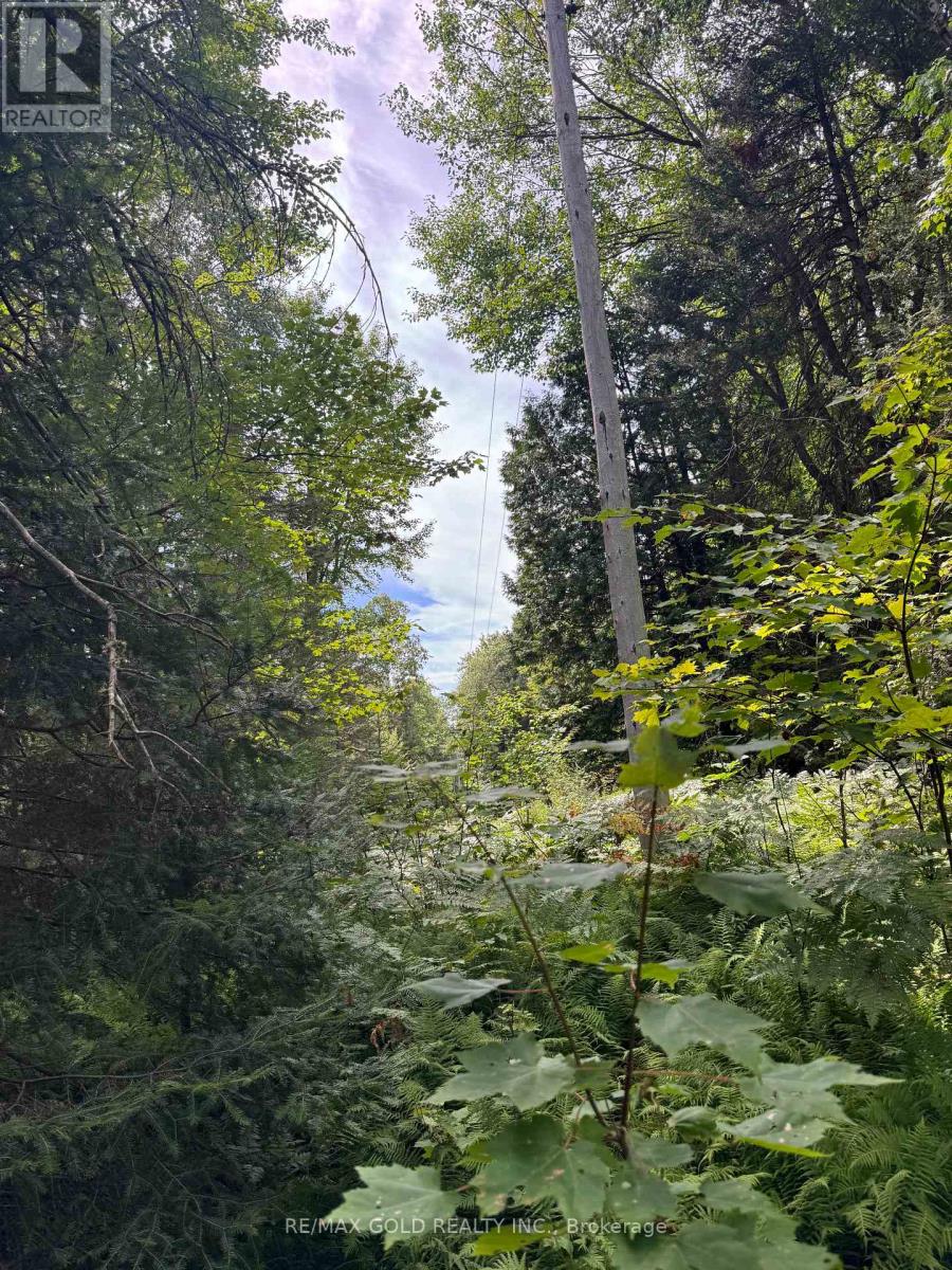 1791 Alsace Road, Nipissing, Ontario  P0H 1Z0 - Photo 11 - X13119988
