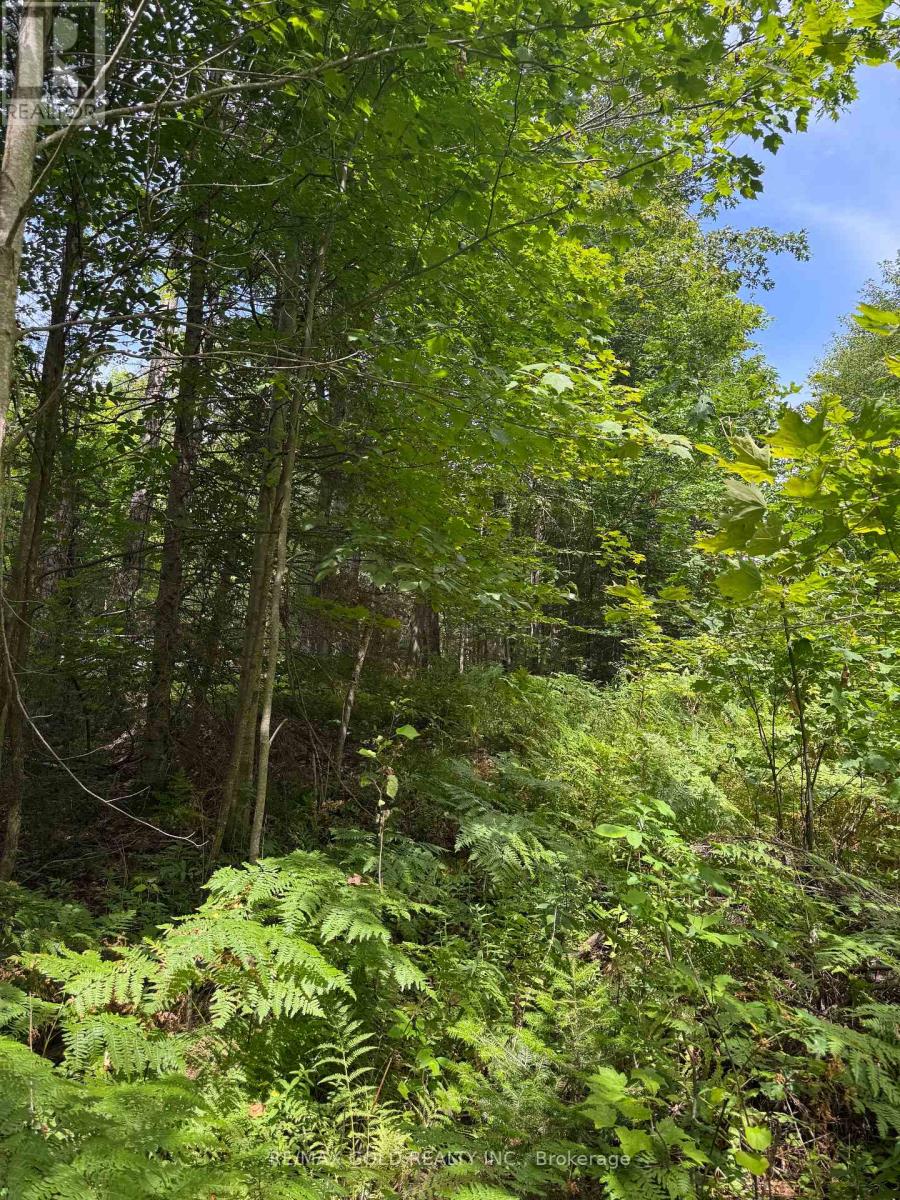 1791 Alsace Road, Nipissing, Ontario  P0H 1Z0 - Photo 12 - X13119988