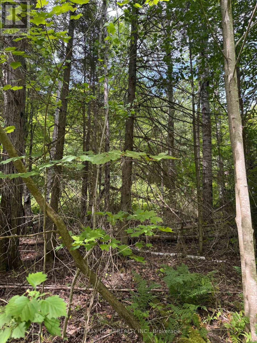 1791 Alsace Road, Nipissing, Ontario  P0H 1Z0 - Photo 13 - X13119988