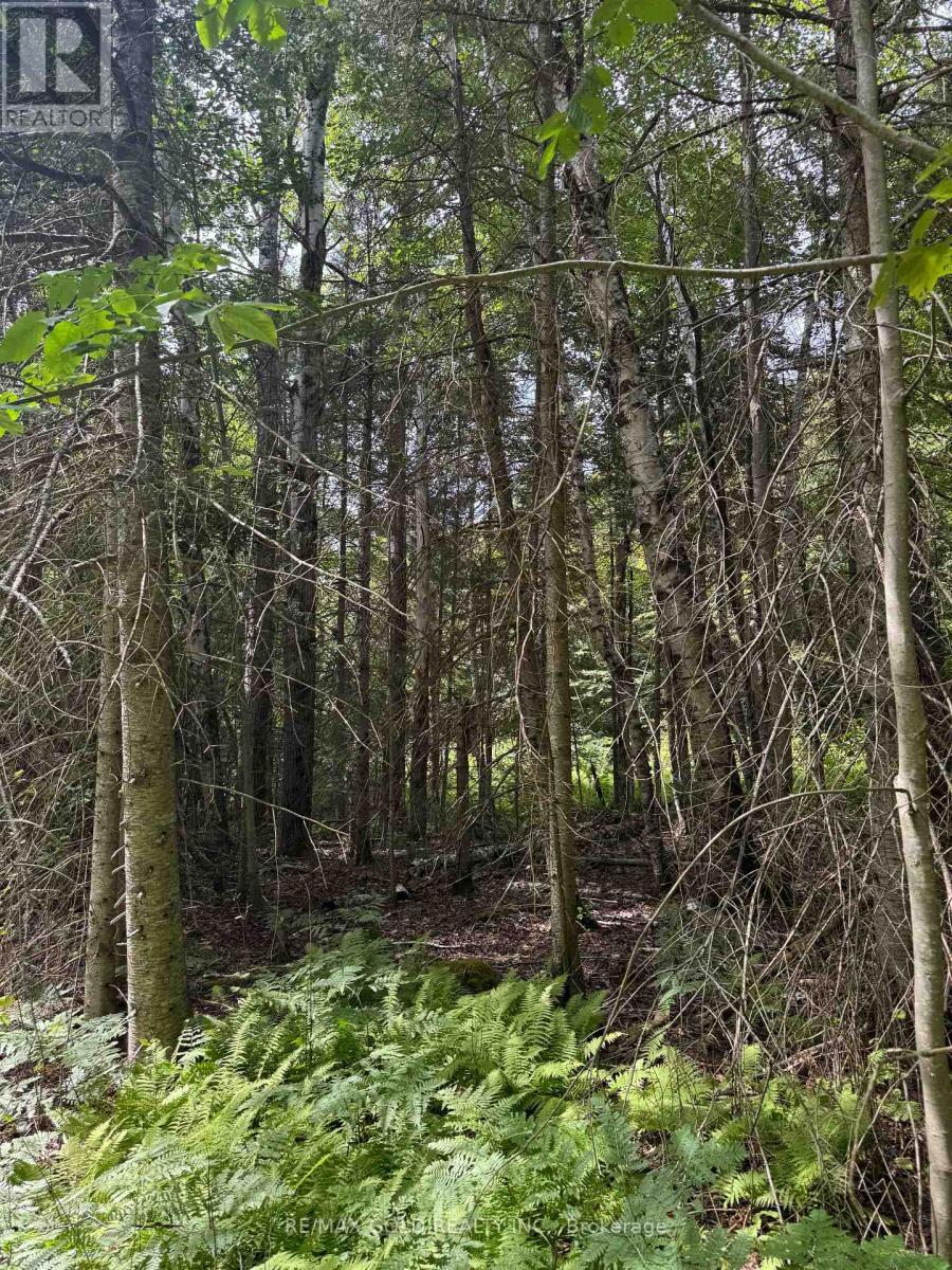 1791 Alsace Road, Nipissing, Ontario  P0H 1Z0 - Photo 14 - X13119988