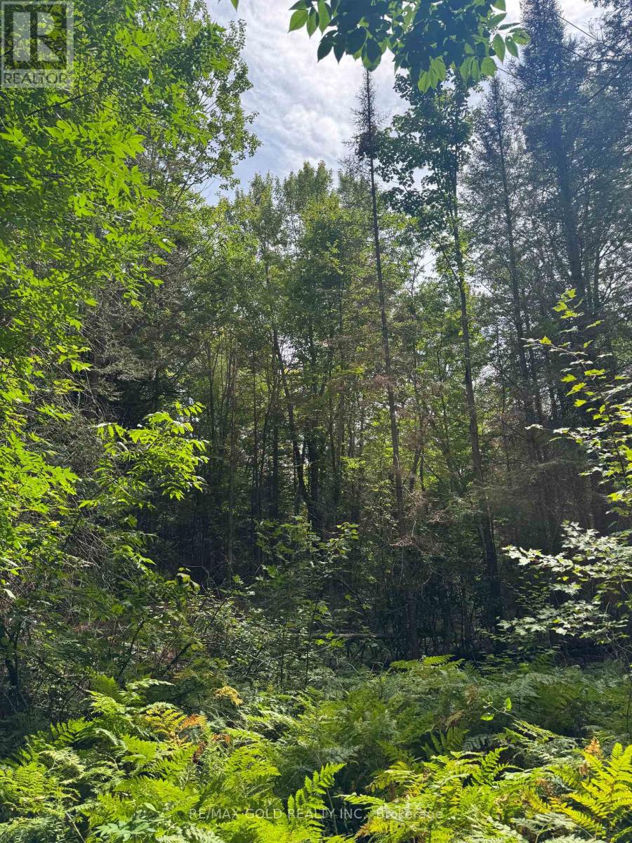 1791 Alsace Road, Nipissing, Ontario  P0H 1Z0 - Photo 16 - X13119988