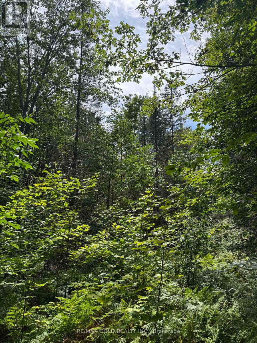 1791 Alsace Road, Nipissing, Ontario  P0H 1Z0 - Photo 17 - X13119988