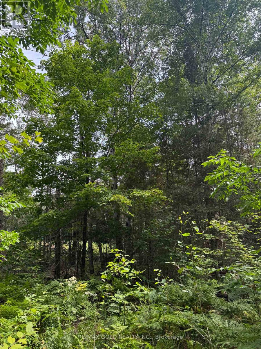 1791 Alsace Road, Nipissing, Ontario  P0H 1Z0 - Photo 18 - X13119988