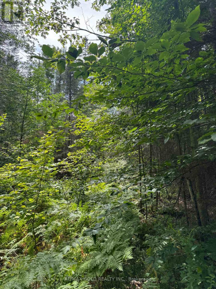 1791 Alsace Road, Nipissing, Ontario  P0H 1Z0 - Photo 19 - X13119988