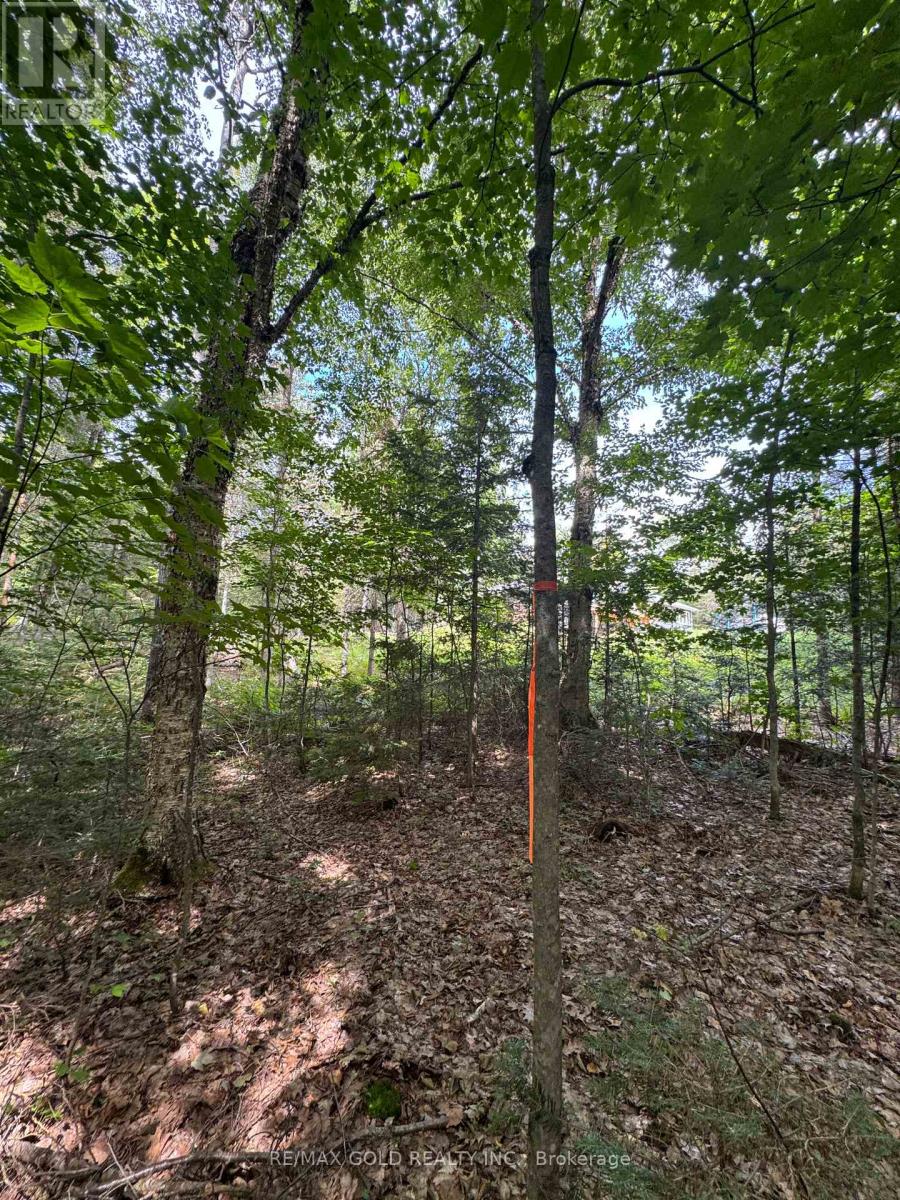 1791 Alsace Road, Nipissing, Ontario  P0H 1Z0 - Photo 2 - X13119988
