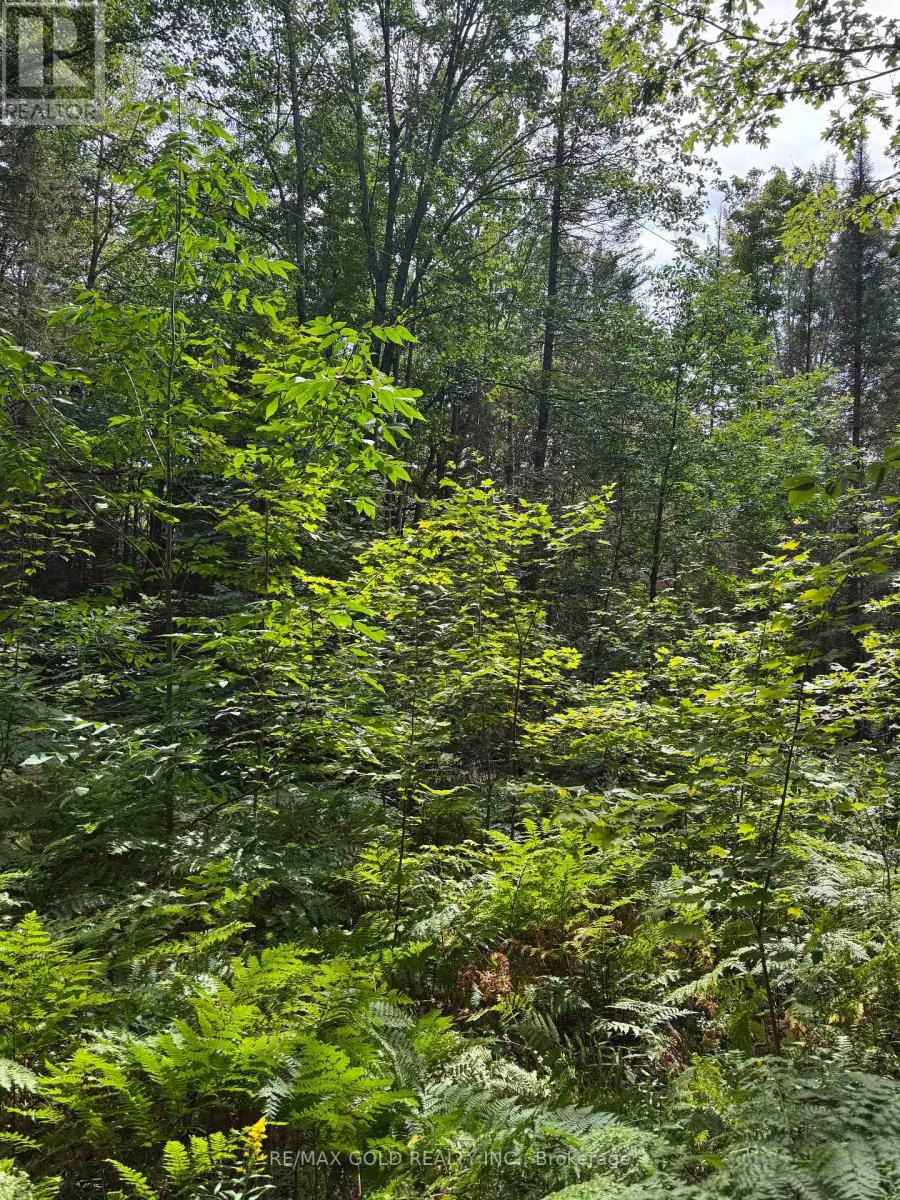 1791 Alsace Road, Nipissing, Ontario  P0H 1Z0 - Photo 20 - X13119988