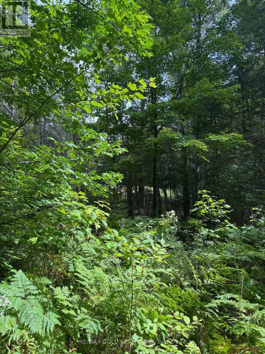 1791 Alsace Road, Nipissing, Ontario  P0H 1Z0 - Photo 21 - X13119988