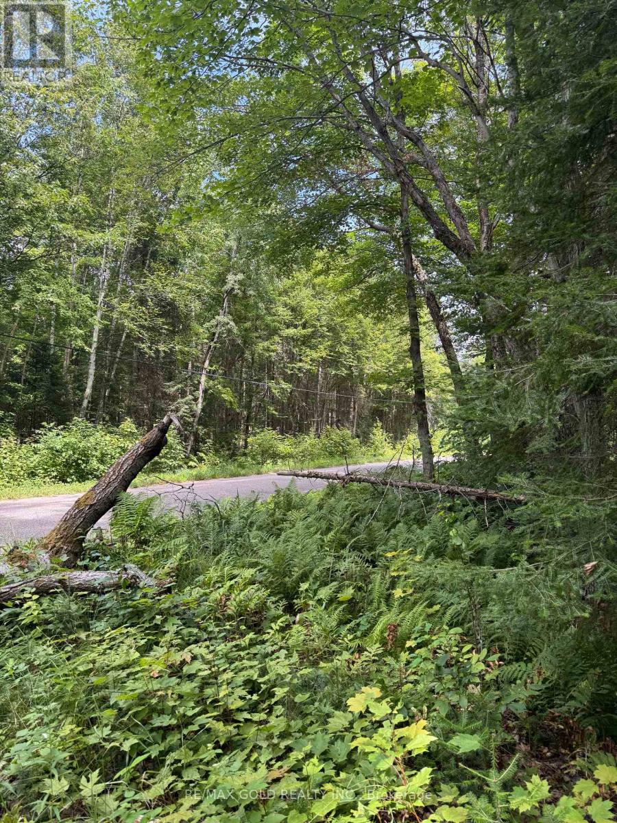 1791 Alsace Road, Nipissing, Ontario  P0H 1Z0 - Photo 22 - X13119988