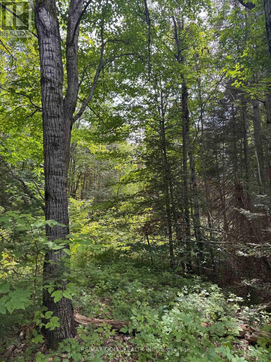1791 Alsace Road, Nipissing, Ontario  P0H 1Z0 - Photo 23 - X13119988
