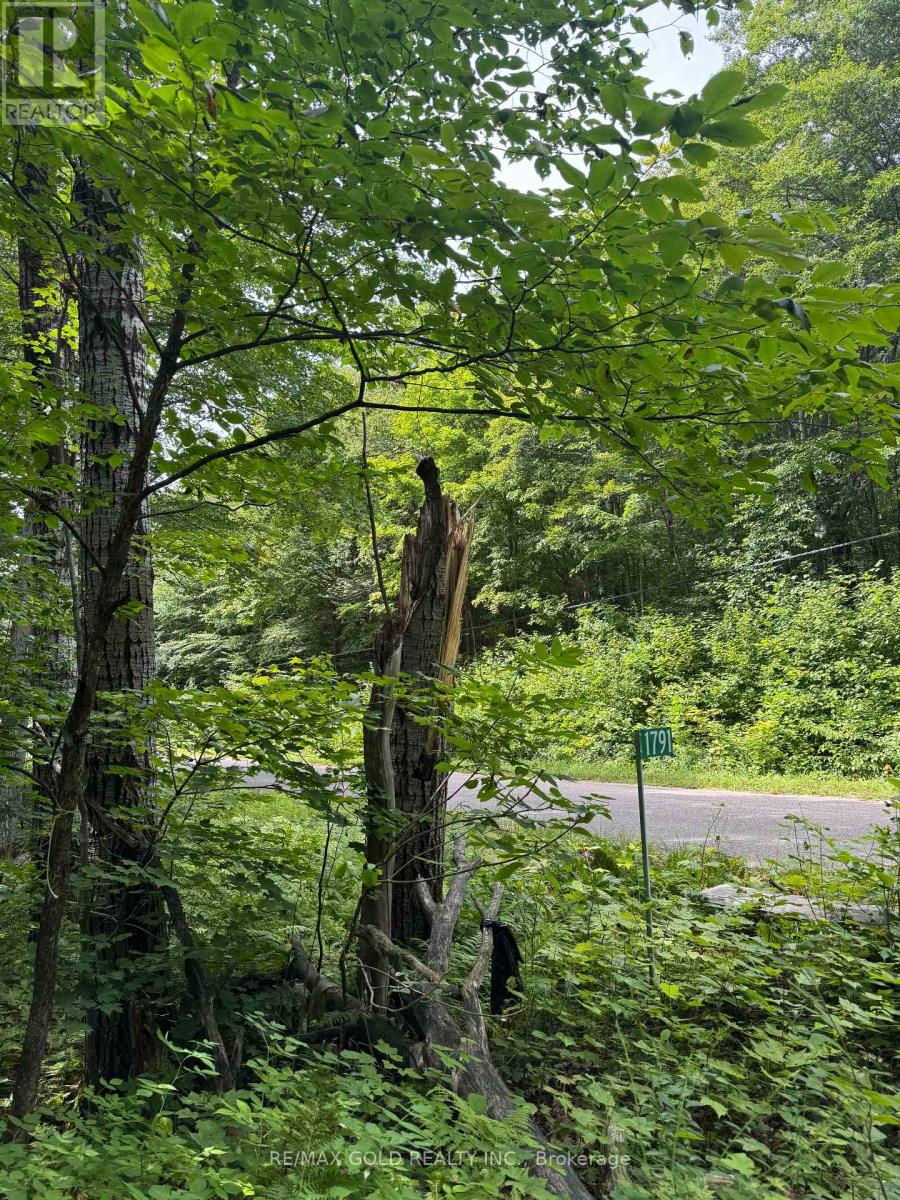 1791 Alsace Road, Nipissing, Ontario  P0H 1Z0 - Photo 24 - X13119988