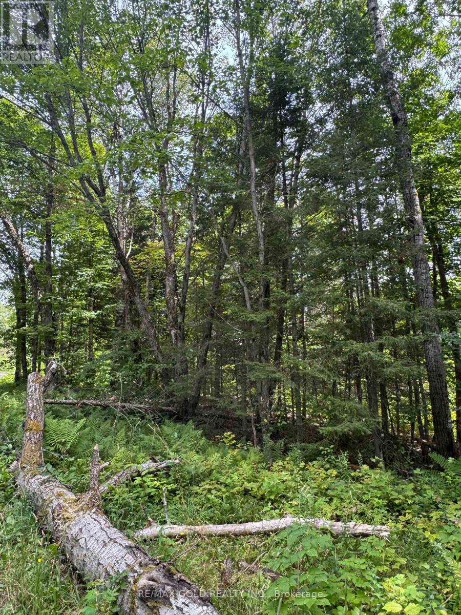 1791 Alsace Road, Nipissing, Ontario  P0H 1Z0 - Photo 25 - X13119988
